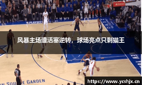 cc网投