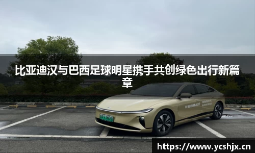 cc网投官网