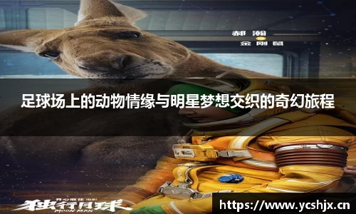 足球场上的动物情缘与明星梦想交织的奇幻旅程