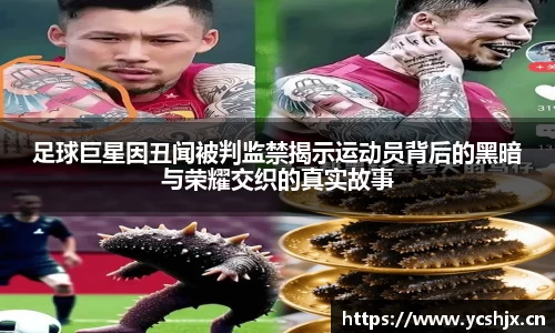 足球巨星因丑闻被判监禁揭示运动员背后的黑暗与荣耀交织的真实故事